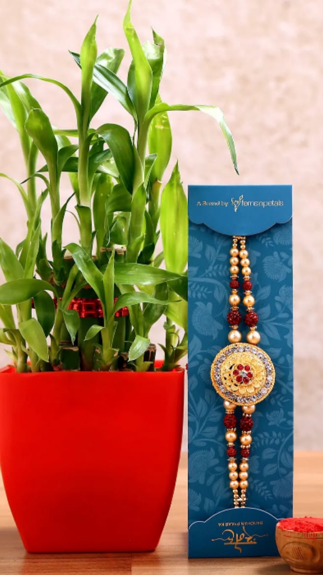 Rakhi & Gift item